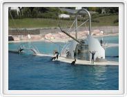 Marineland_051.JPG
