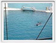 Marineland_052.JPG
