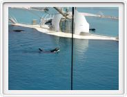 Marineland_055.JPG
