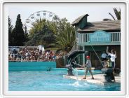 Marineland_065.JPG