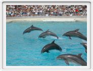 Marineland_124.JPG