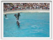 Marineland_126.JPG