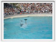 Marineland_127.JPG