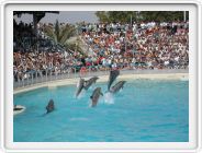 Marineland_129.JPG
