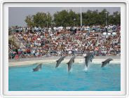 Marineland_132.JPG