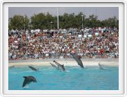 Marineland_133.JPG