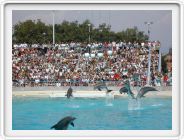 Marineland_136.JPG