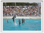 Marineland_139.JPG