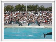 Marineland_140.JPG