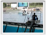 Marineland_176.JPG