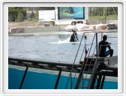 Marineland_178.JPG