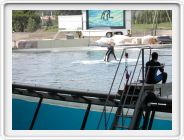 Marineland_179.JPG