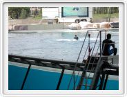 Marineland_180.JPG