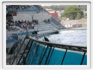 Marineland_181.JPG