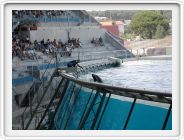 Marineland_182.JPG