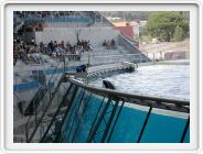 Marineland_183.JPG