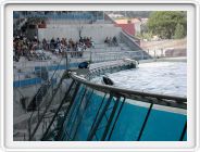 Marineland_184.JPG