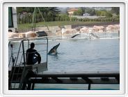Marineland_186.JPG