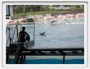 Marineland_187.JPG