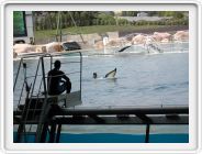 Marineland_188.JPG