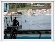 Marineland_189.JPG