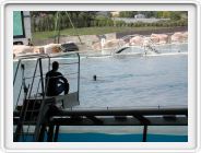 Marineland_190.JPG