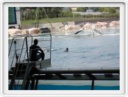 Marineland_192.JPG