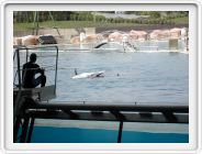 Marineland_193.JPG