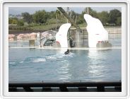 Marineland_195.JPG