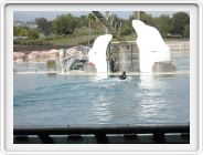 Marineland_196.JPG