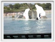 Marineland_199.JPG