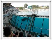 Marineland_201.JPG