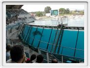Marineland_202.JPG