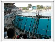 Marineland_203.JPG