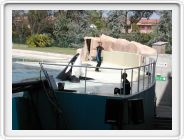 Marineland_204.JPG