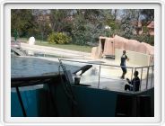 Marineland_206.JPG