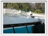 Marineland_207.JPG