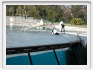 Marineland_208.JPG