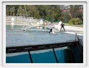 Marineland_209.JPG