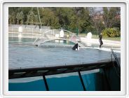 Marineland_210.JPG