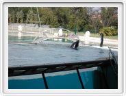 Marineland_211.JPG