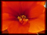02_05_405