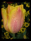 04-05-092