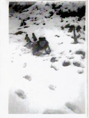 Image numérisée  0033