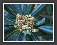 DSCF0977