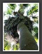DSCF0799