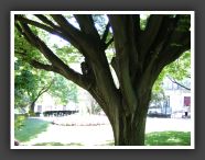 DSCF0803