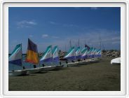 DSCF1116