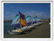 DSCF1117
