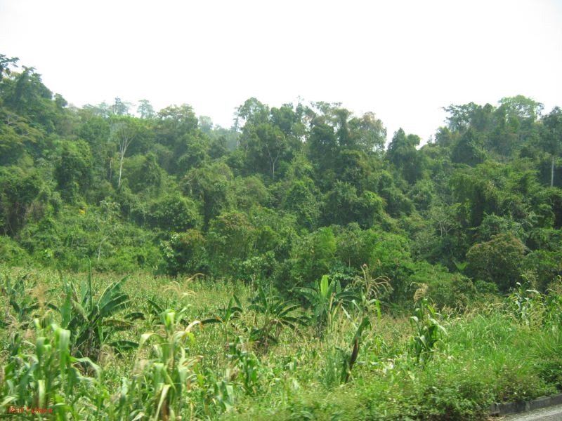 25_3 Misol Ha et Agua Azul  003.jpg